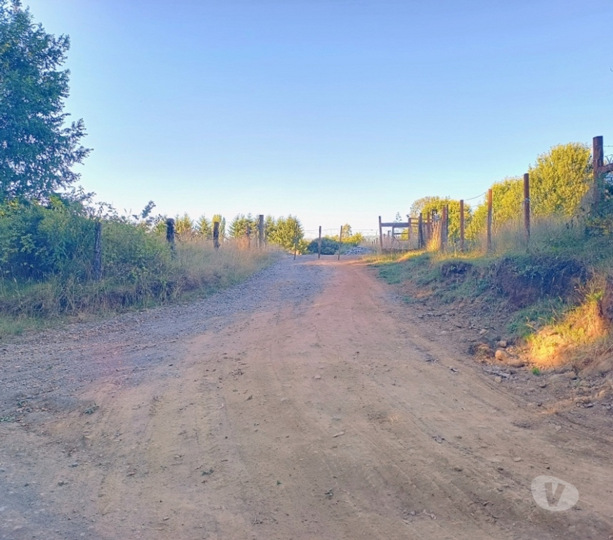Parcelas en Venta Cautín Villarrica - Fotos de Hermosa parcela a 18 kilómetros del centro de Villarrica