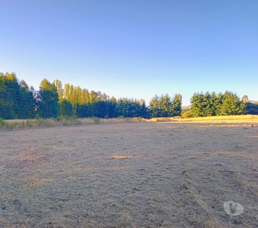 Parcelas en Venta Cautín Villarrica - Fotos de Hermosa parcela a 18 kilómetros del centro de Villarrica