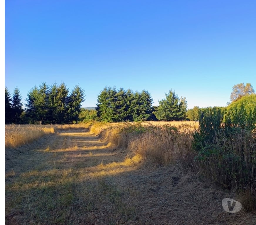 Parcelas en Venta Cautín Villarrica - Fotos de Hermosa parcela a 18 kilómetros del centro de Villarrica