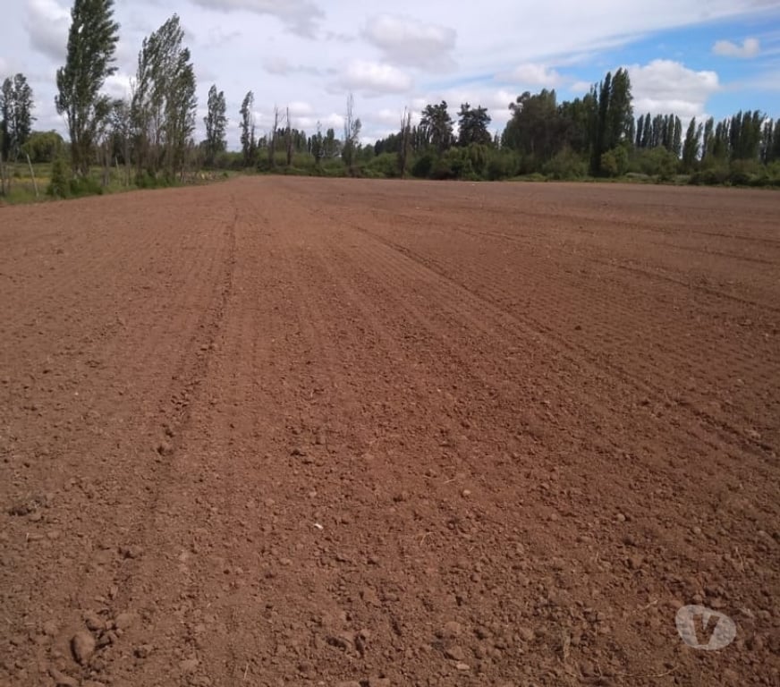 Proyectos inmobiliarios Linares Longav - Fotos de venta de campo con rol y casas