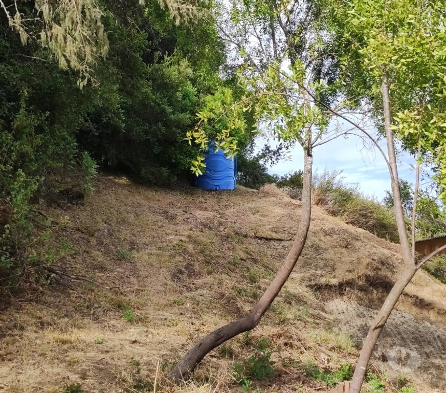 Bienes Raices Cardenal Caro Litueche - Fotos de Parcela con casa a minutos del Lago Rapel