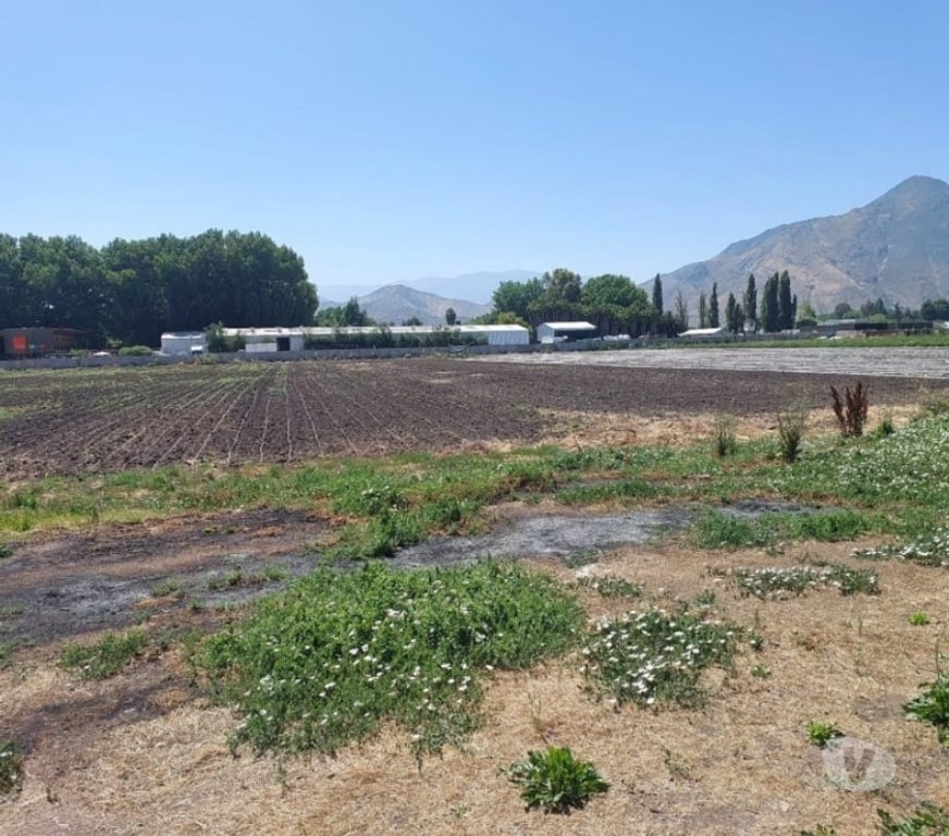 Locales Commerciales en Arriendo Maipo Paine - Fotos de Terreno comercial y agroindustrial de 40.500 m2, Paine.