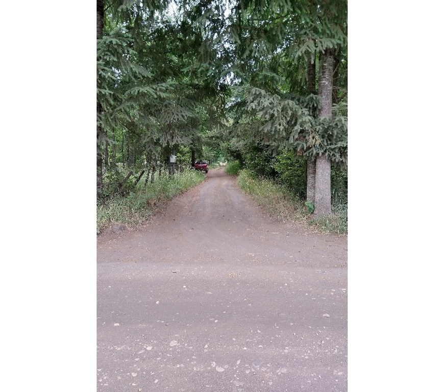Venta de Haciendas Cautín Villarrica - Fotos de Parcelas sector molco