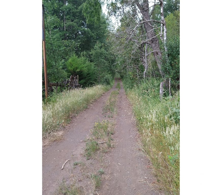Venta de Haciendas Cautín Villarrica - Fotos de Parcelas sector molco