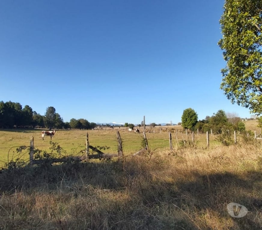 Parcelas en Venta Valdivia Valdivia - Fotos de Se vende Parcela 23.300 mt2