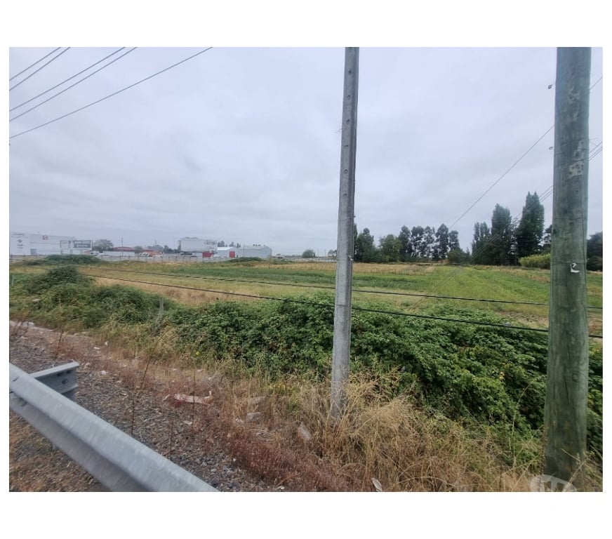 Parcelas en Venta Ñuble Chillán Viejo - Fotos de Terreno 5.7 Ha Orilla Ruta 5 Sur. Chillán. Excelente Precio