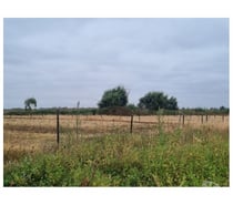 Terreno 5.7 Ha Orilla Ruta 5 Sur. Chillán. Excelente Precio
