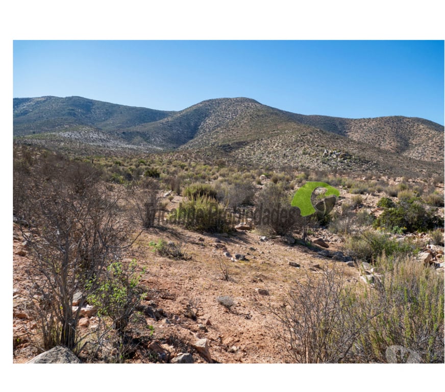 Parcelas en Venta Limarí Ovalle - Fotos de Venta gran terreno de 40 hectáreas a 20 minutos de Ovalle