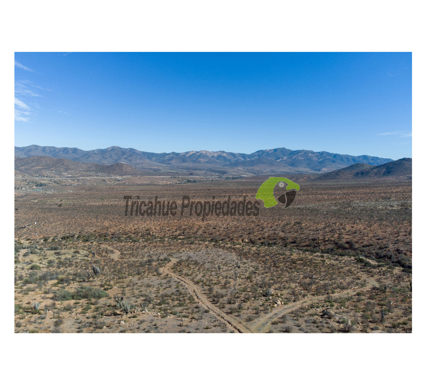 Parcelas en Venta Limarí Ovalle - Fotos de Venta gran terreno de 40 hectáreas a 20 minutos de Ovalle