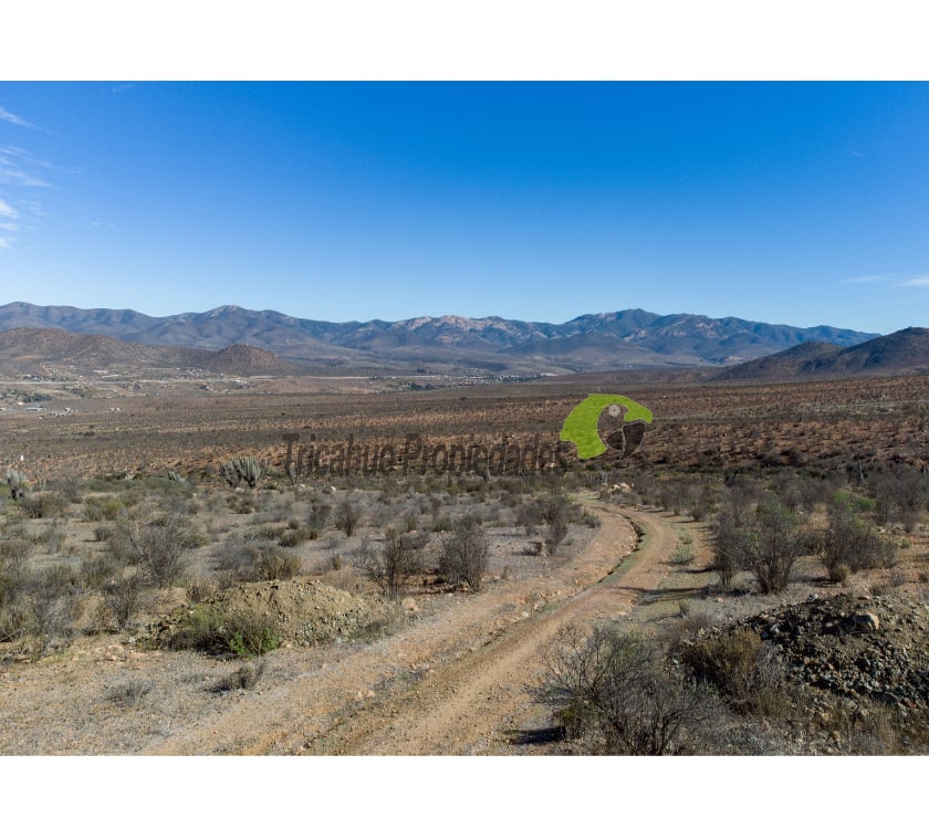 Venta gran terreno de 40 hectáreas a 20 minutos de Ovalle