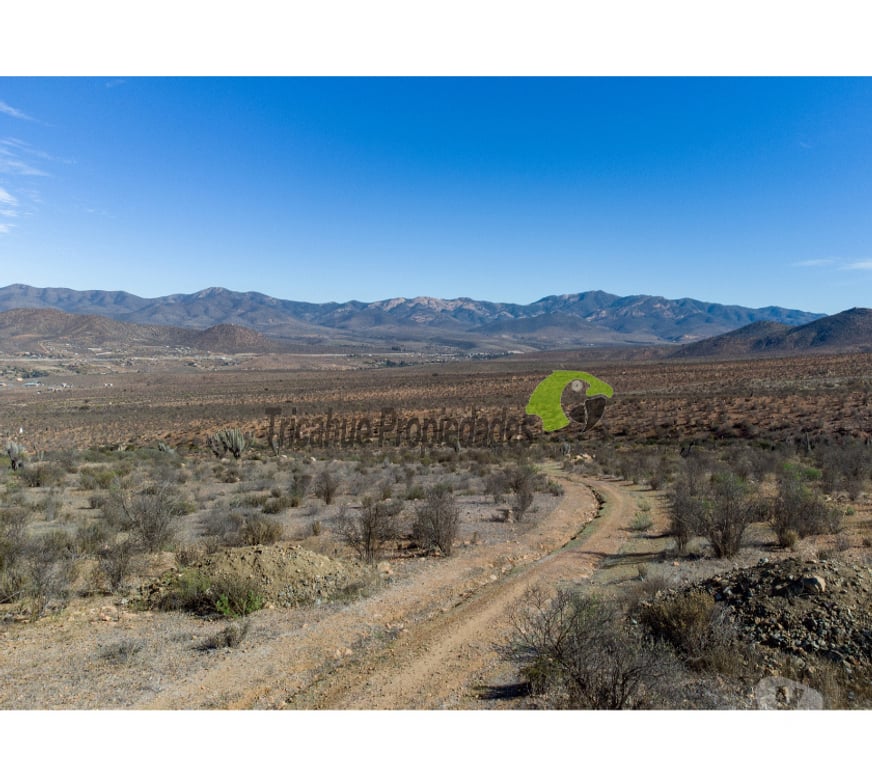 Parcelas en Venta Limarí Ovalle - Fotos de Venta gran terreno de 40 hectáreas a 20 minutos de Ovalle
