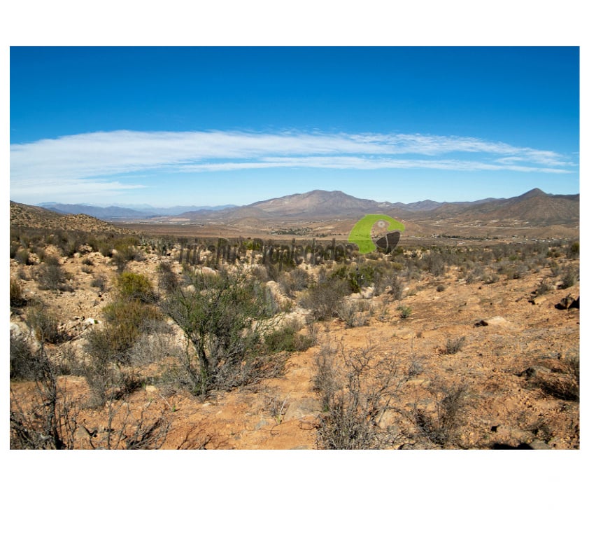 Parcelas en Venta Limarí Ovalle - Fotos de Venta gran terreno de 40 hectáreas a 20 minutos de Ovalle