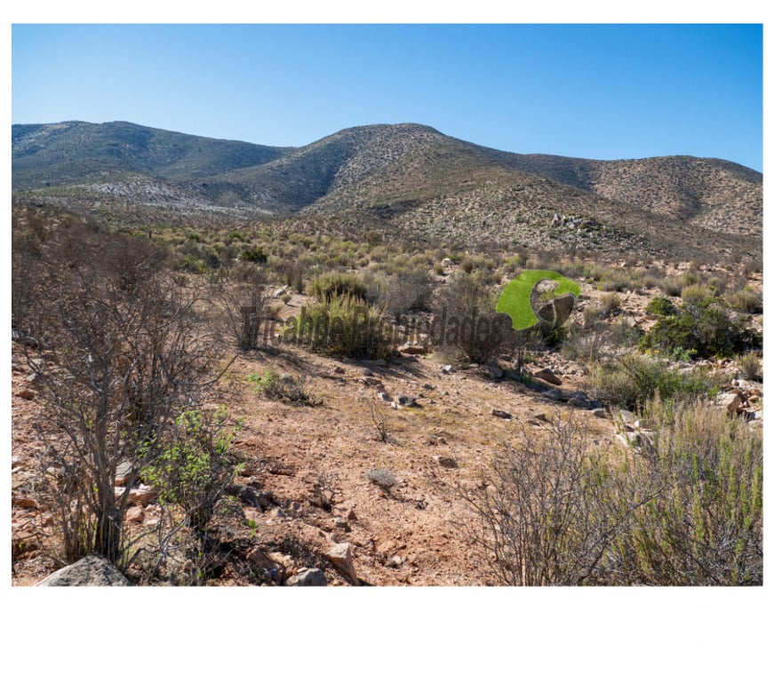Parcelas en Venta Limarí Ovalle - Fotos de Venta gran terreno de 40 hectáreas a 20 minutos de Ovalle