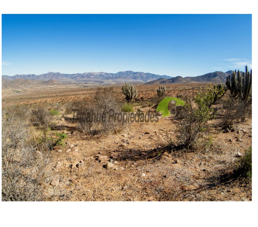 Parcelas en Venta Limarí Ovalle - Fotos de Venta gran terreno de 40 hectáreas a 20 minutos de Ovalle