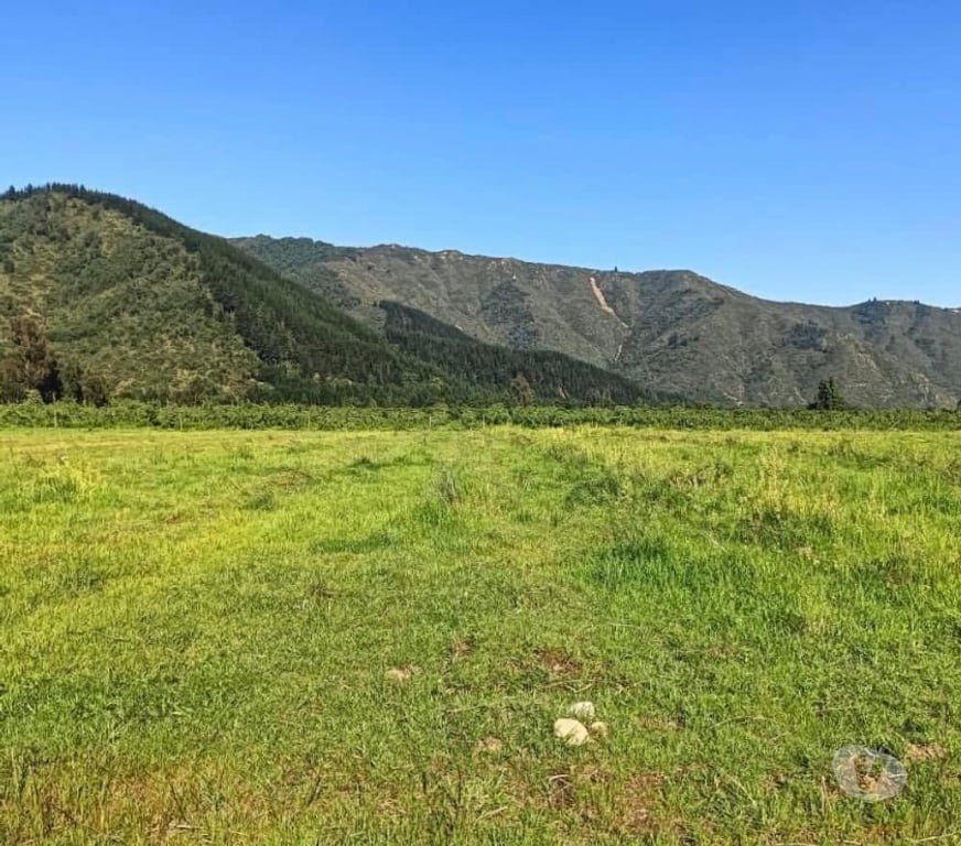 Venta de Haciendas Curicó Molina - Fotos de Parcelas 5.000 m² en El Yacal – Precordillera de Curicó