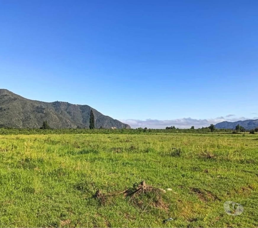 Venta de Haciendas Curicó Molina - Fotos de Parcelas 5.000 m² en El Yacal – Precordillera de Curicó