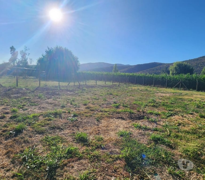 Parcelas en Venta Cachapoal Coínc - Fotos de Terreno Coicno Sector Chillehue