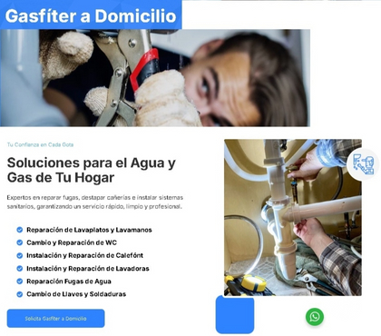 Freelance - Servicios Profesionales La Florida Santiago - Fotos de Gastifer a Domicilio