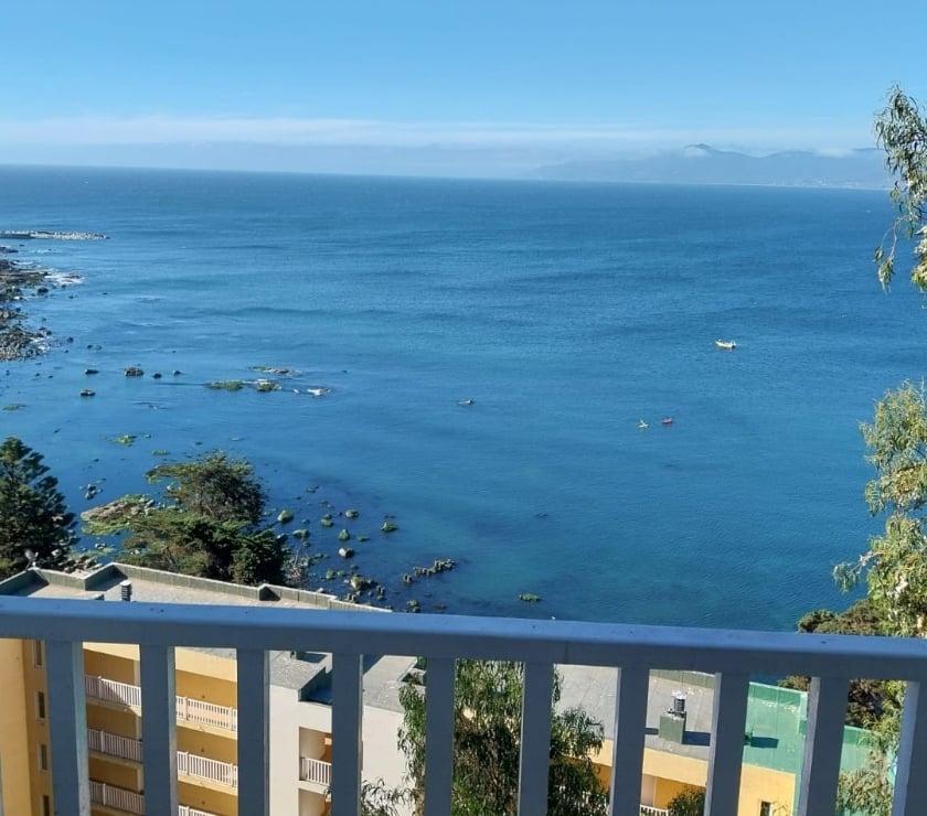 Venta dptos. Caleta Horcon