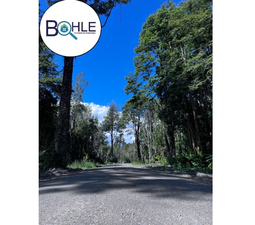 Parcelas en Venta Llanquihue Puerto Varas - Fotos de PARCELA ORILLA DE LAGO LLANQUIHUE, ENSENADA