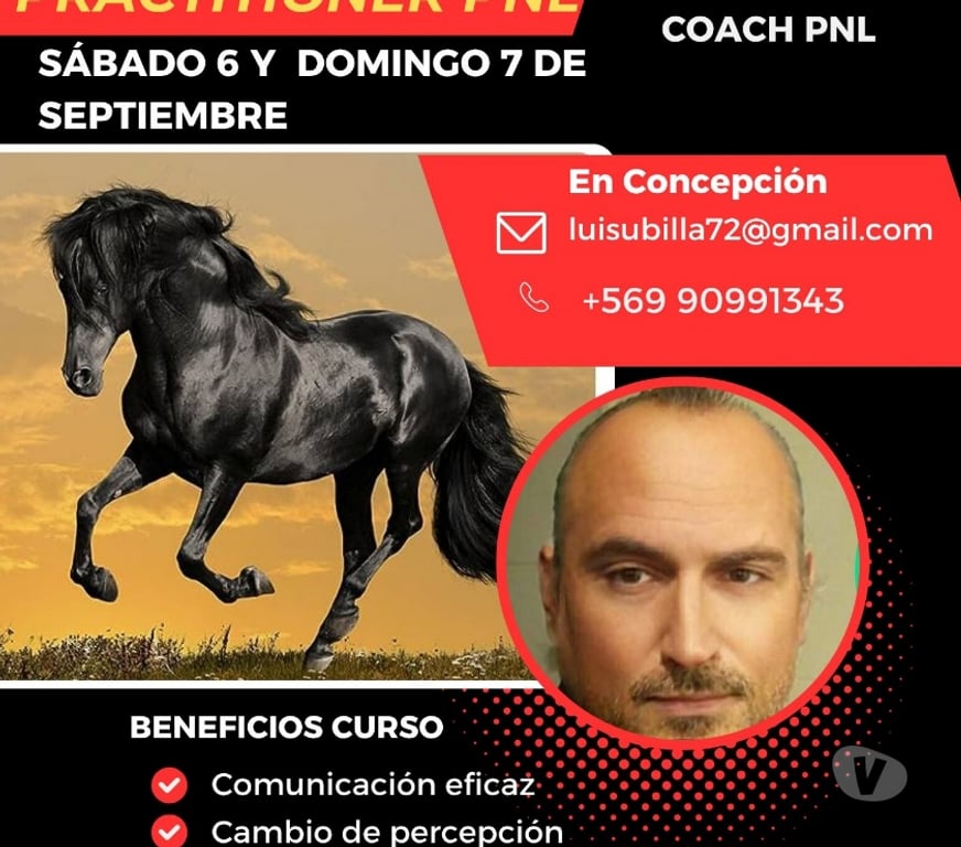 Otros Cursos Concepción Concepción - Fotos de CURSO PRACTITIONER EN PROGRAMACIÓN NEUROLINGUÍSTICA (PNL)