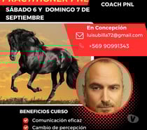 CURSO PRACTITIONER EN PROGRAMACIÓN NEUROLINGUÍSTICA (PNL)