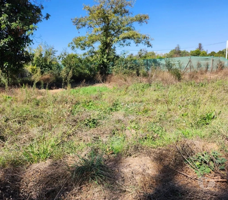 Parcelas en Venta Talagante Isla de Maipo - Fotos de Se Vende Terreno De 985 m2 En Sector Rural De Isla De Maipo