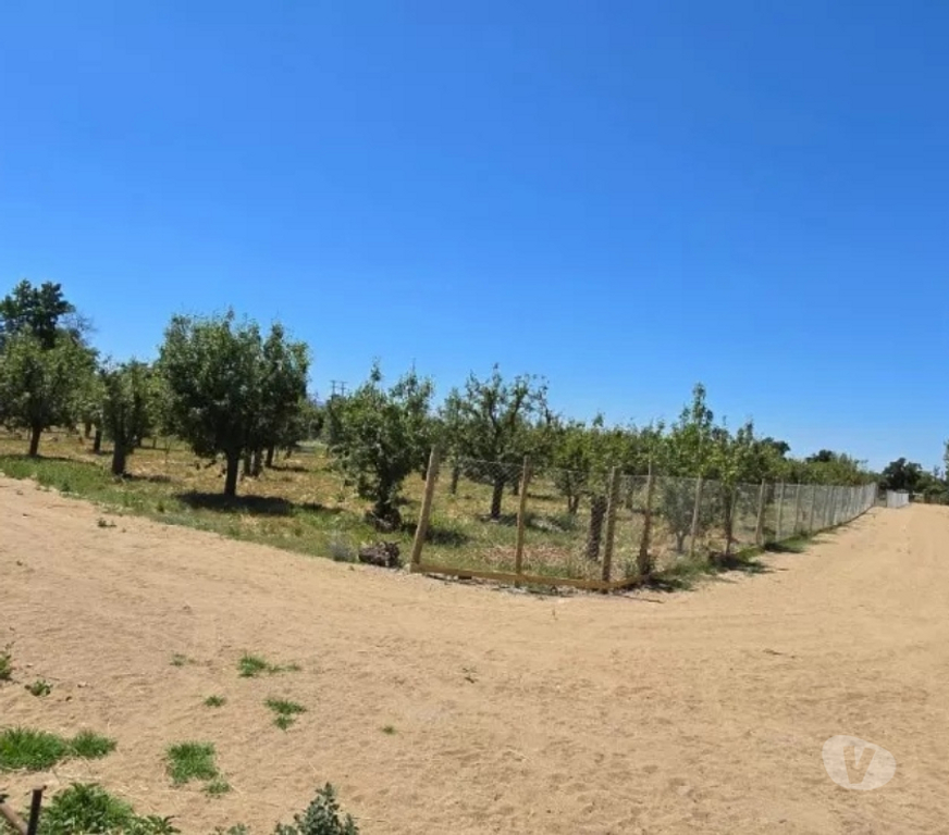 Parcelas en Venta Talagante Isla de Maipo - Fotos de Se Vende Terrenos En Condominio Isla De Maipo
