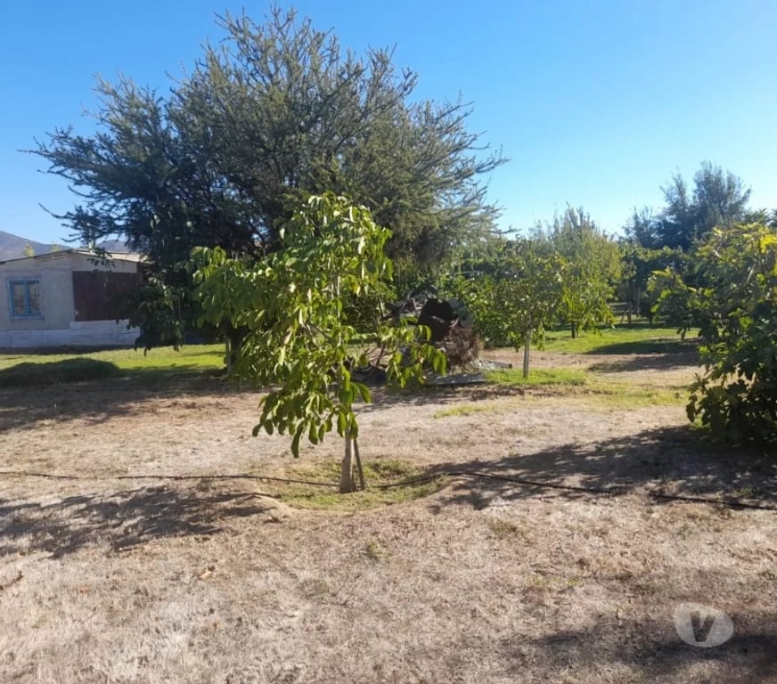 Parcelas en Venta Melipilla Alhué - Fotos de Se Vende Parcela De Agrado En Comuna De Alhue