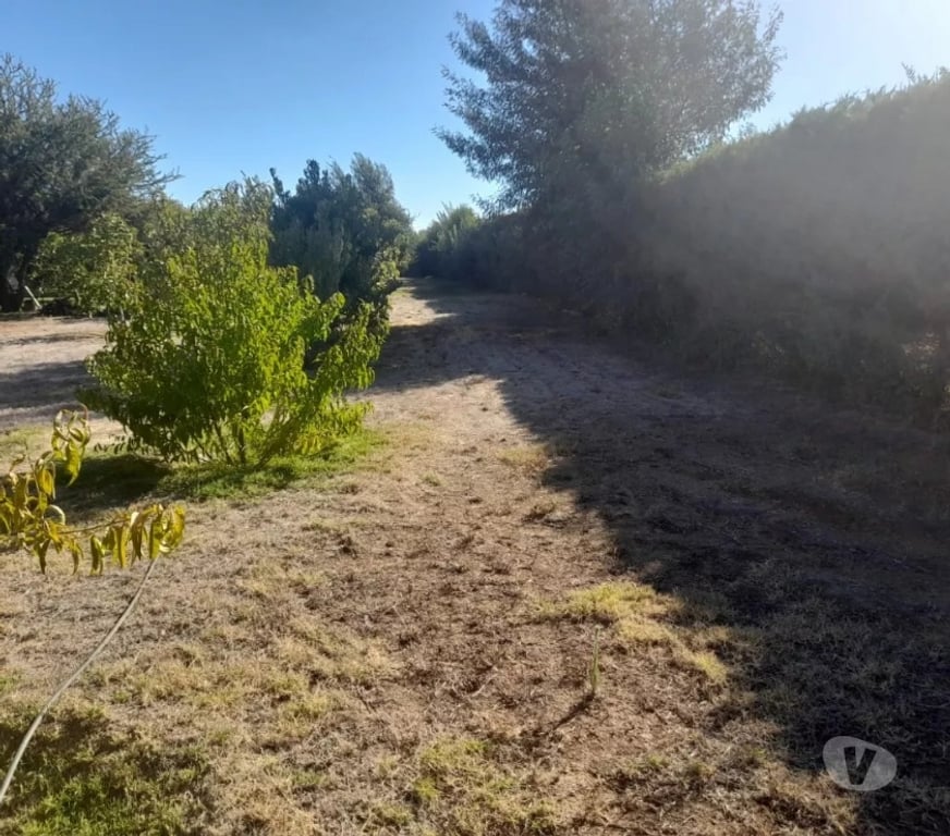 Parcelas en Venta Melipilla Alhué - Fotos de Se Vende Parcela De Agrado En Comuna De Alhue