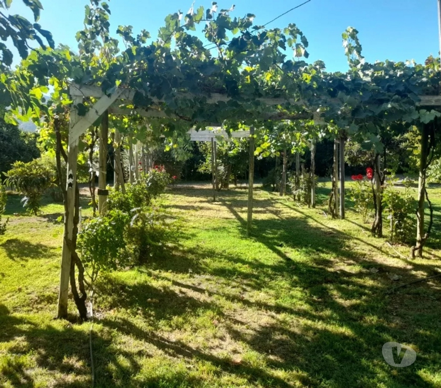 Parcelas en Venta Melipilla Alhué - Fotos de Se Vende Parcela De Agrado En Comuna De Alhue