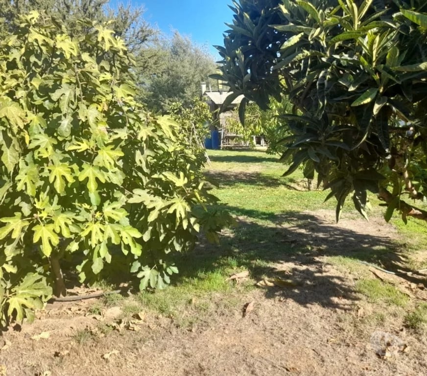 Parcelas en Venta Melipilla Alhué - Fotos de Se Vende Parcela De Agrado En Comuna De Alhue
