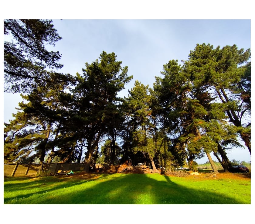 Terreno 10.000 m² en Reñaca Alto – Camino Lajarilla
