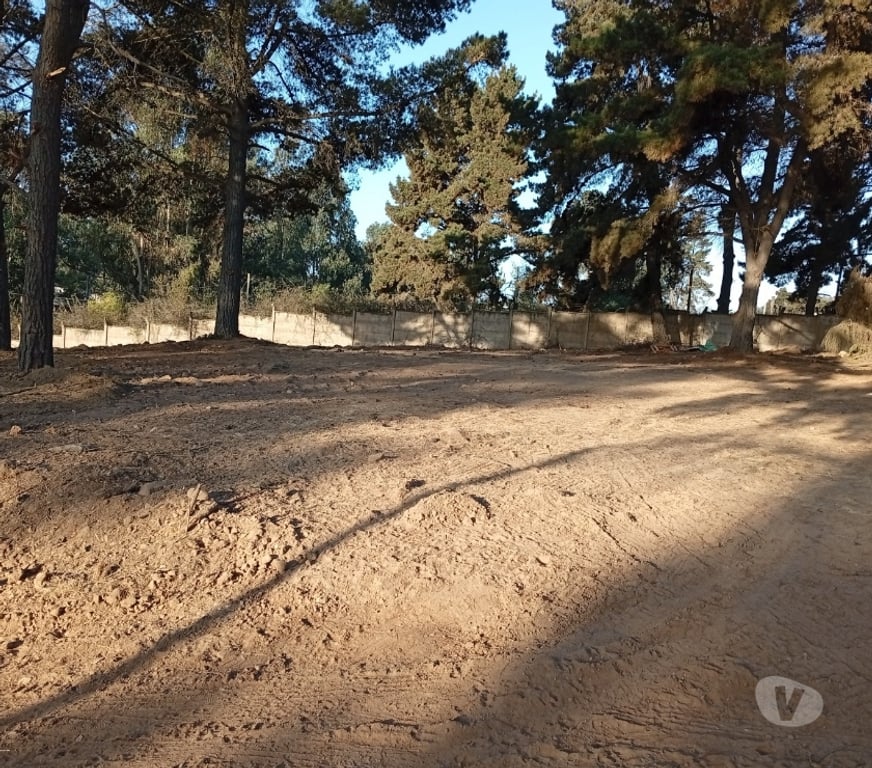 Parcelas en Venta Valparaíso Viña del Mar - Fotos de Terreno 10.000 m² en Reñaca Alto – Ruta F-528