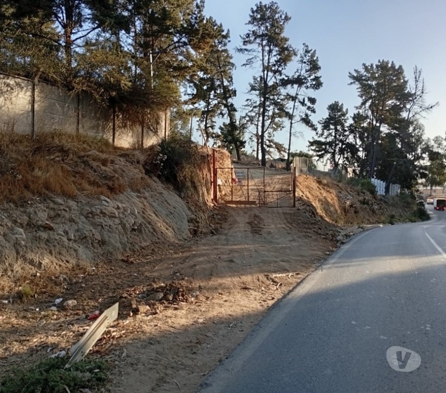 Parcelas en Venta Valparaíso Viña del Mar - Fotos de Terreno 10.000 m² en Reñaca Alto – Ruta F-528