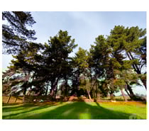 Terreno 10.000 m² en Reñaca – Camino Lajarilla