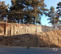 Terreno 10.000 m² en Reñaca Alto – Ruta F-528