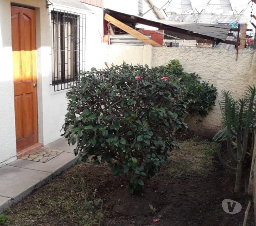 Arriendos Quillota Quillota - Fotos de Casa Arriendo 2 piezas y 1 baño