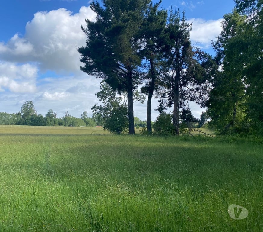 Bienes Raices Cautín Villarrica - Fotos de Parcelas a pocos minutos de Villarrica, entorno natural