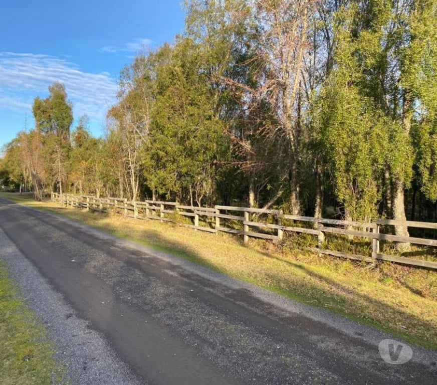 Parcelas en Venta Cautín Villarrica - Fotos de Parcela en a 10 minutos de Villarrica bosque nativo