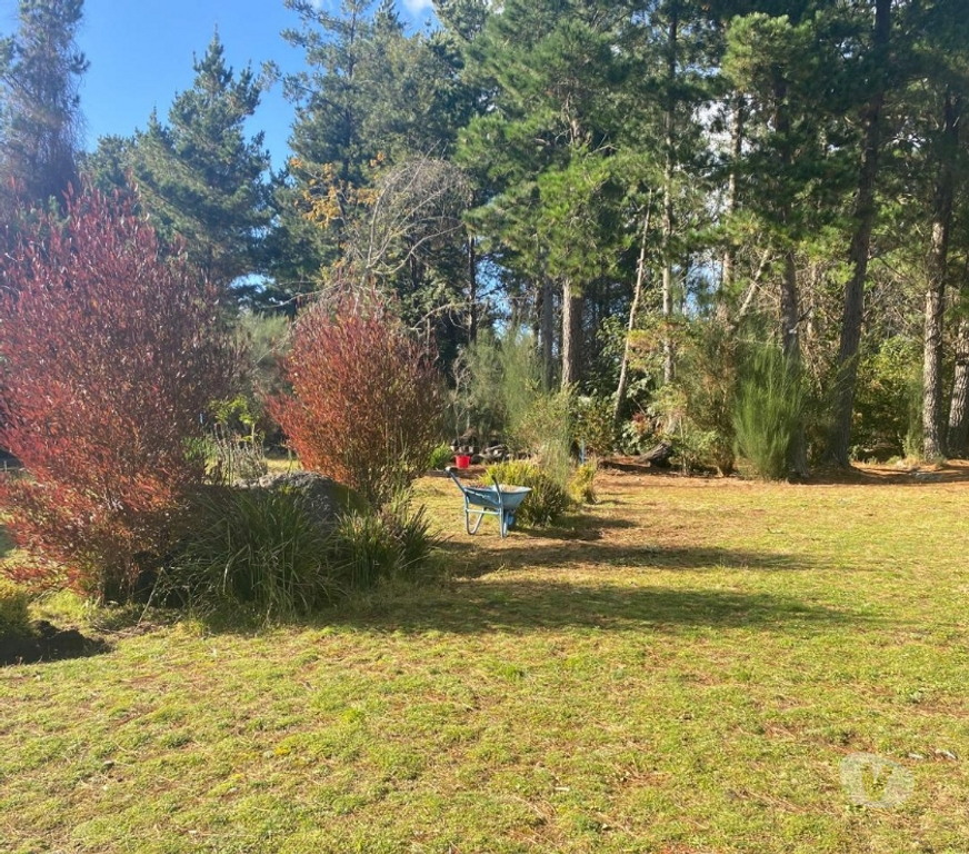 Arriendos Cautín Villarrica - Fotos de Casa en parcela a cinco minutos centro de Pucón