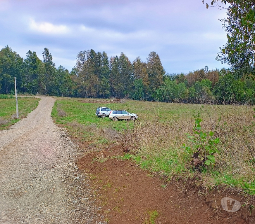 Parcelas en Venta Cautín Villarrica - Fotos de Parcela con lomaje suave, buena ubicación lugar tranquilo
