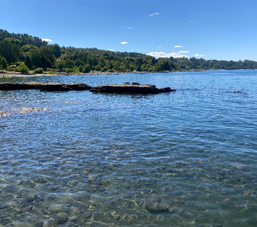 Arriendos de Temporada Lago Ranco Ranco - Fotos de Arriendo acogedora casa de verano con orilla en Lago Ranco