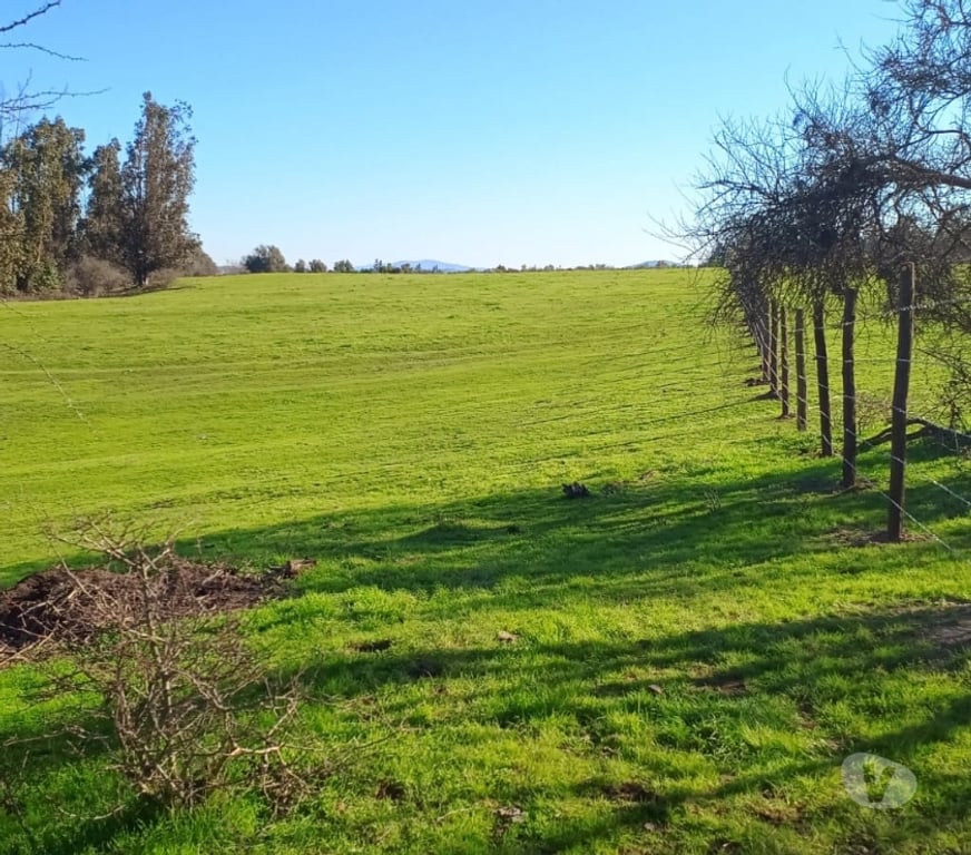 Parcelas en Venta Melipilla Melipilla - Fotos de hermosa parcela en el sector "El esfuerzo, Codigua"