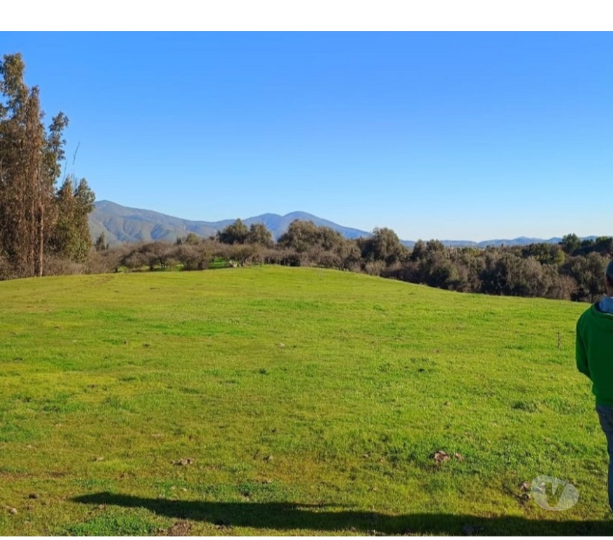 Parcelas en Venta Melipilla Melipilla - Fotos de hermosa parcela en el sector "El esfuerzo, Codigua"