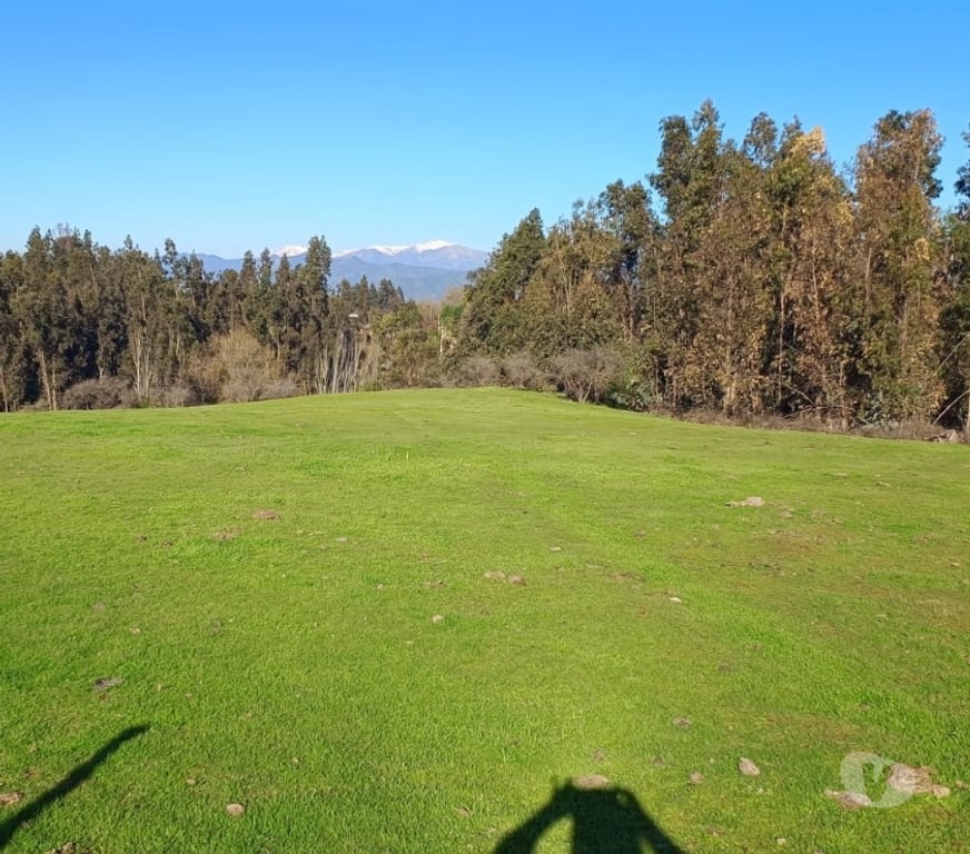 Parcelas en Venta Melipilla Melipilla - Fotos de hermosa parcela en el sector "El esfuerzo, Codigua"
