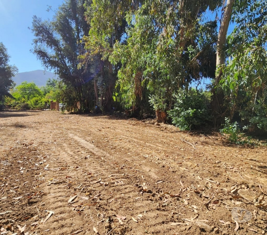 Parcelas en Venta Cachapoal Machal - Fotos de Terreno La Campiña , Machalí