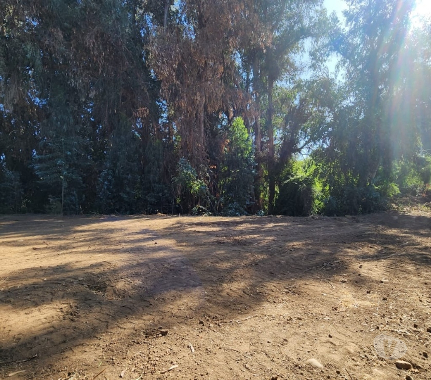 Parcelas en Venta Cachapoal Machal - Fotos de Terreno La Campiña , Machalí
