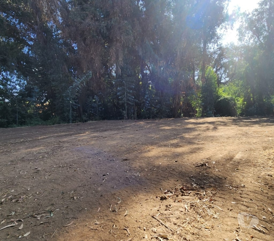 Parcelas en Venta Cachapoal Machal - Fotos de Terreno La Campiña , Machalí