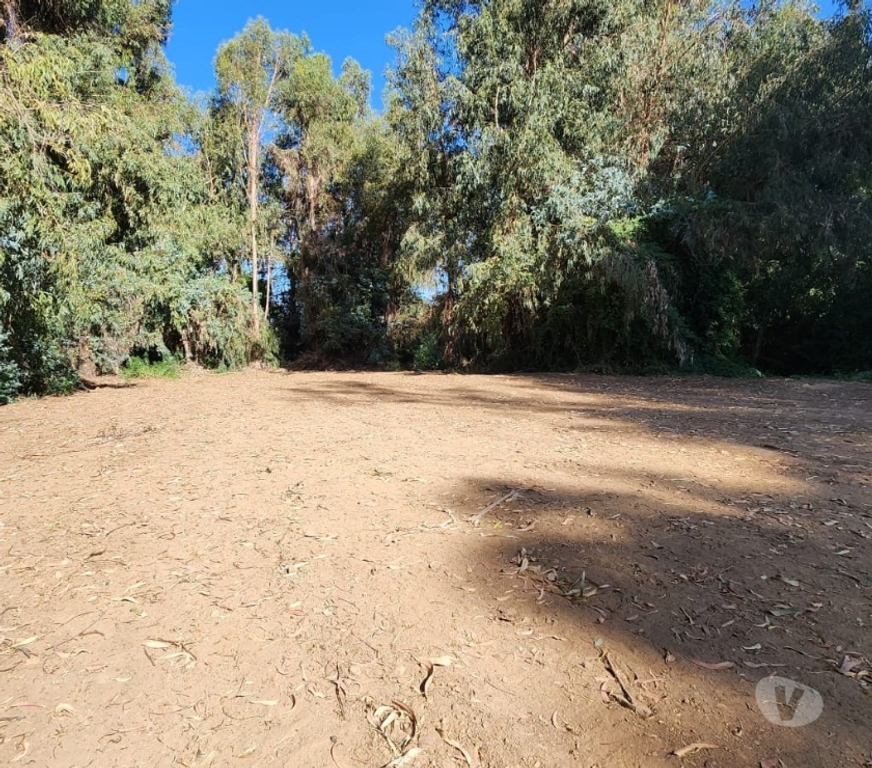 Parcelas en Venta Cachapoal Machal - Fotos de Terreno La Campiña , Machalí
